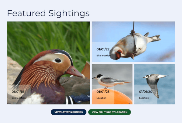 SBSG Featured Sightings