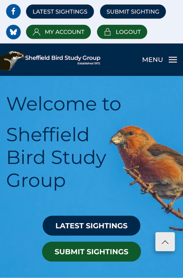 Home page hero on mobile