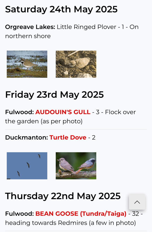 Sightings results on mobile phone